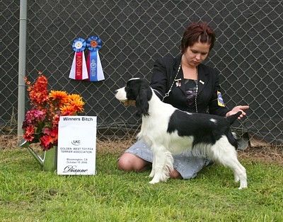 Harley n Heather at UKC 10/15/06