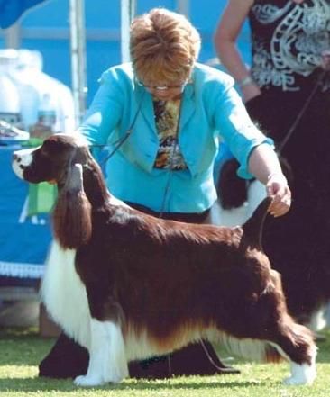 Tuggy and Julie