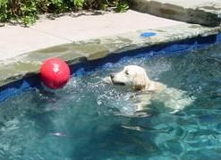 Riley and his red ball