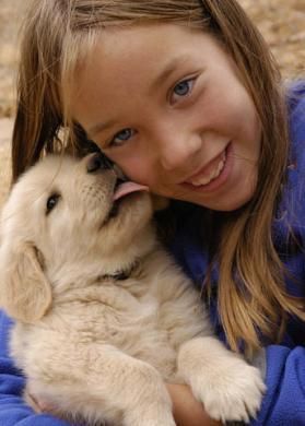 A Soda puppy from a previous litter