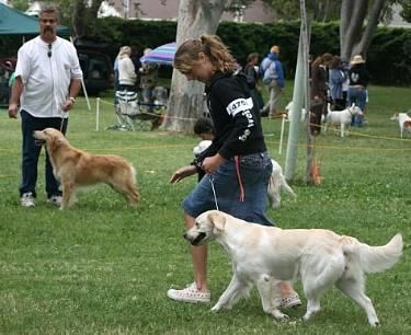 Haley (shown by Marika)and Remmy (shown by Steve)in the ring