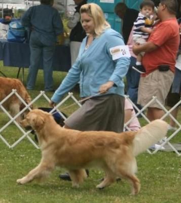 Arpege in the ring, Carmel, July 08