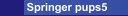 Springer Plans
