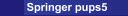 Springer Plans